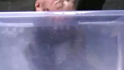 Strapon porno veia lésbica jovem