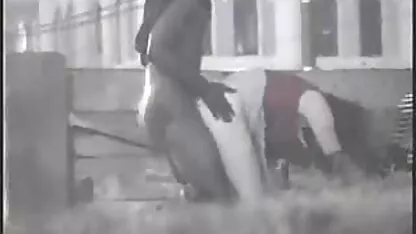 Um homem bronzeado numa pornô entre idosos cama a empurrar duas namoradas numa Pila e a dar-lhes a bochecha.